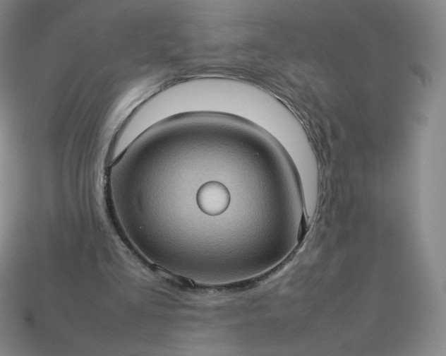 X0000114090293200910191609