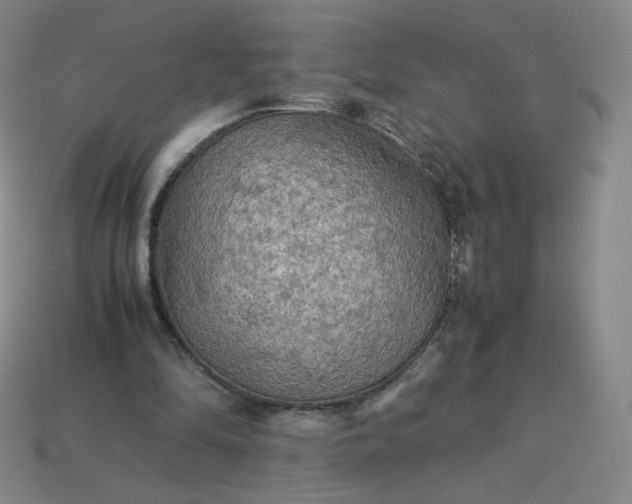 X0000114090294200910191609