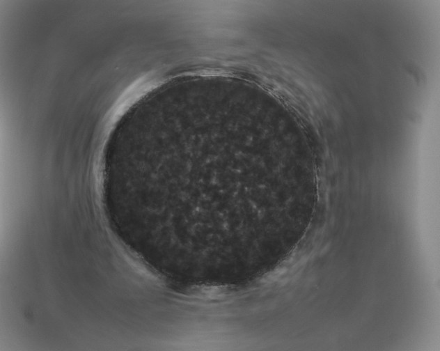 X0000114090295200910191609
