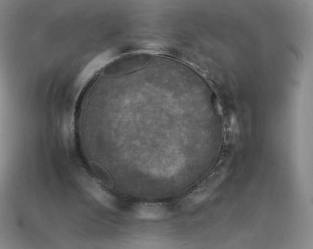 X0000114090296200910191609
