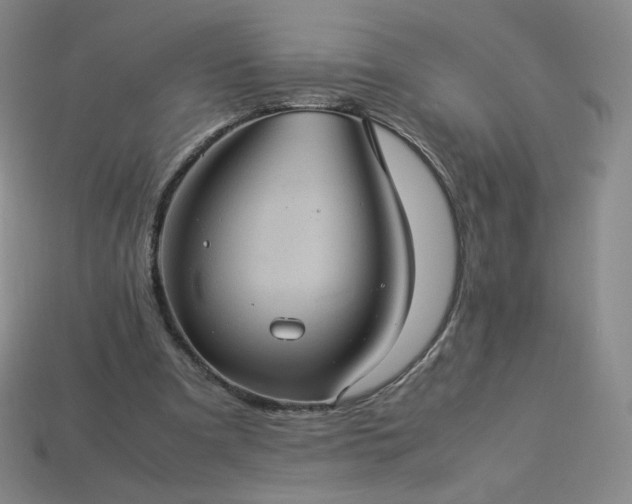 X0000114090297200910191609