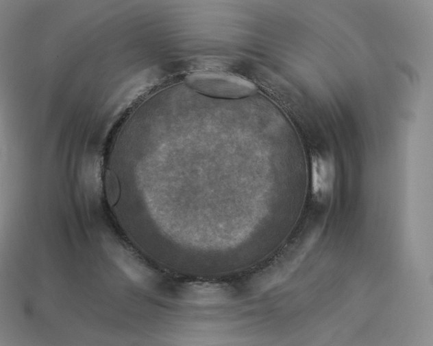 X0000114090300200910191609