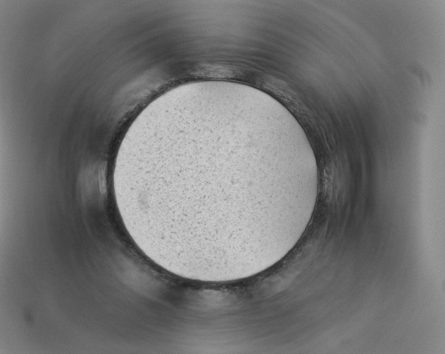 X0000114090302200910191609