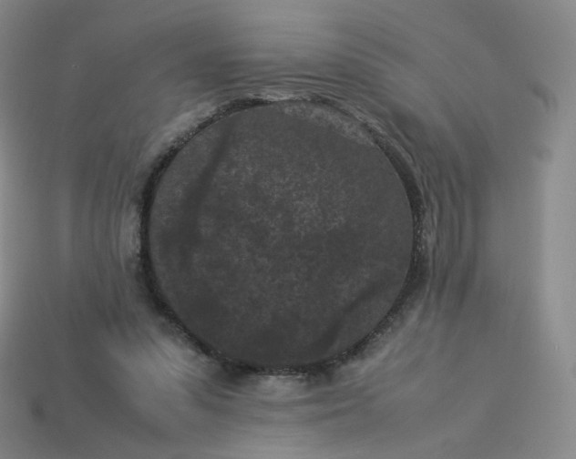 X0000114090303200910191609