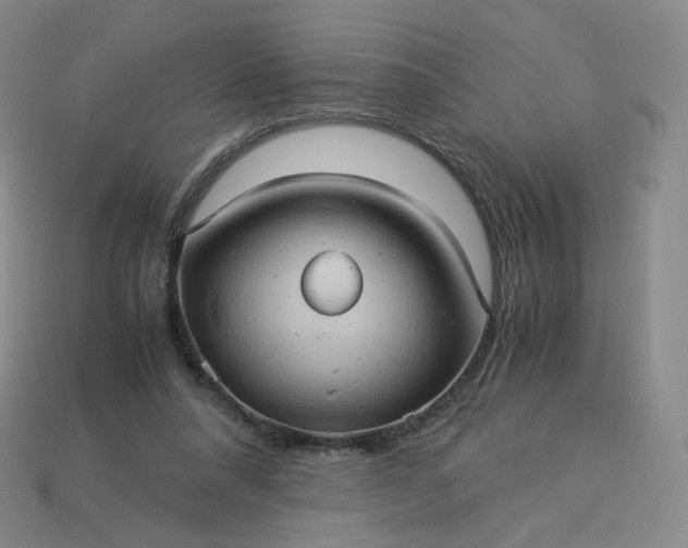 X0000114090304200910191609