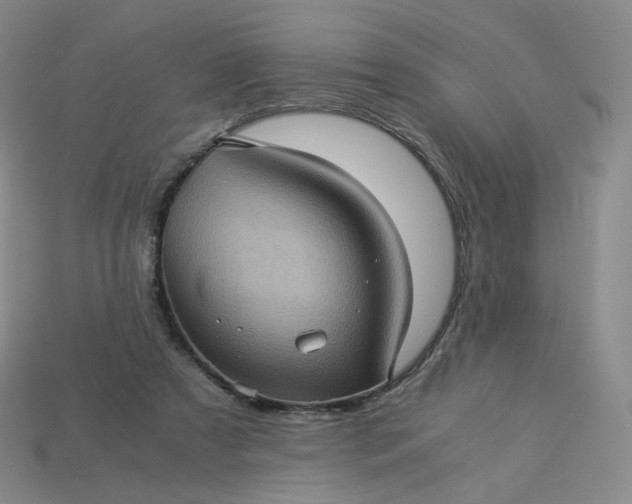 X0000114090305200910191609