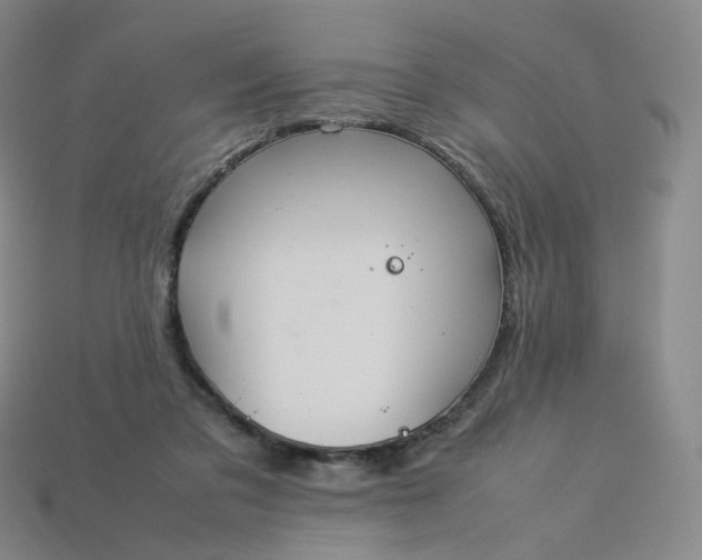 X0000114090309200910191609