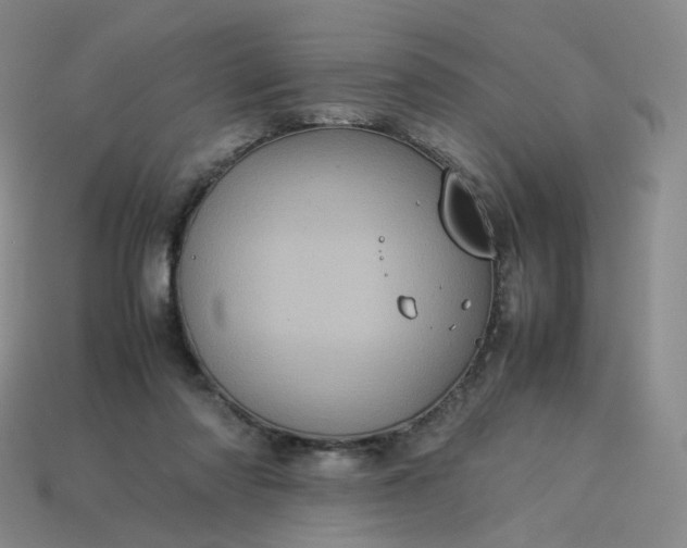 X0000114090310200910191609