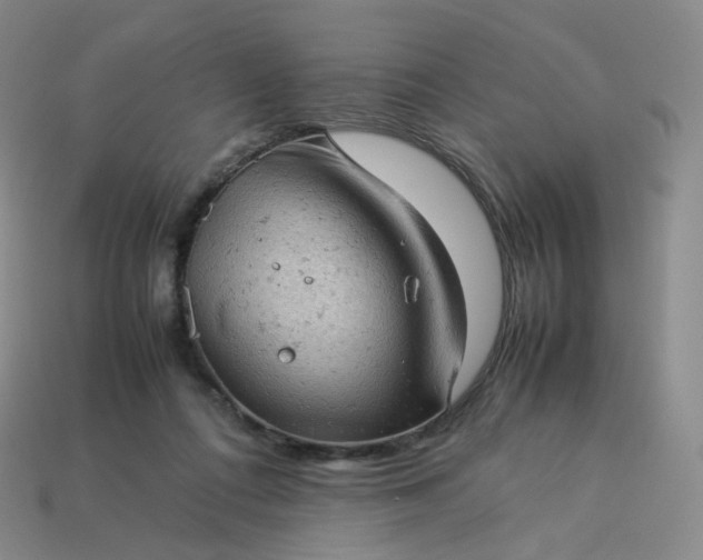 X0000114090312200910191609