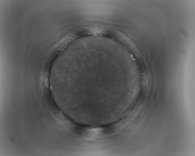 X0000114090313200910191609