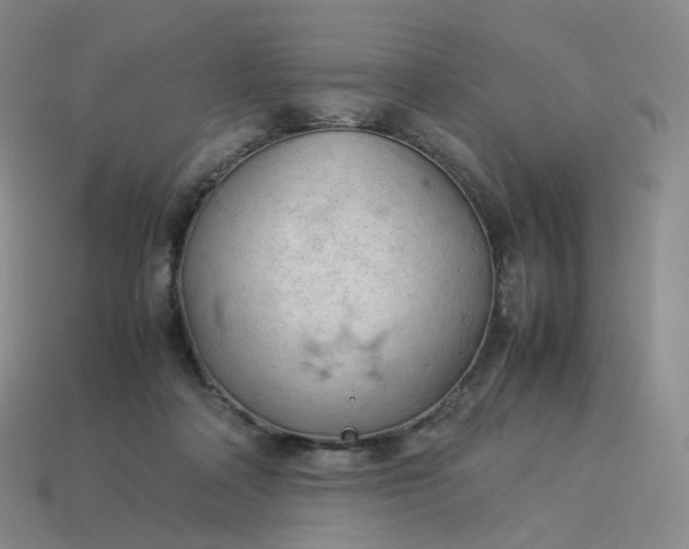 X0000114090314200910191609