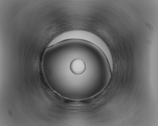 X0000114090316200910191609