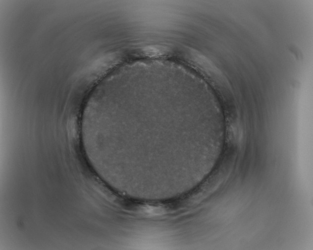 X0000114090317200910191608