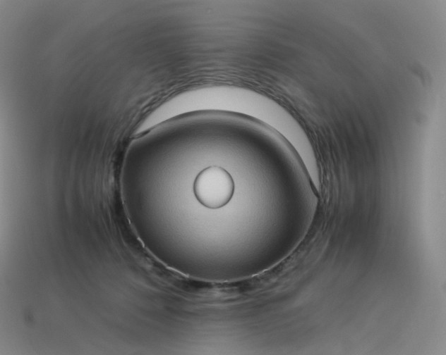 X0000114090320200910191608