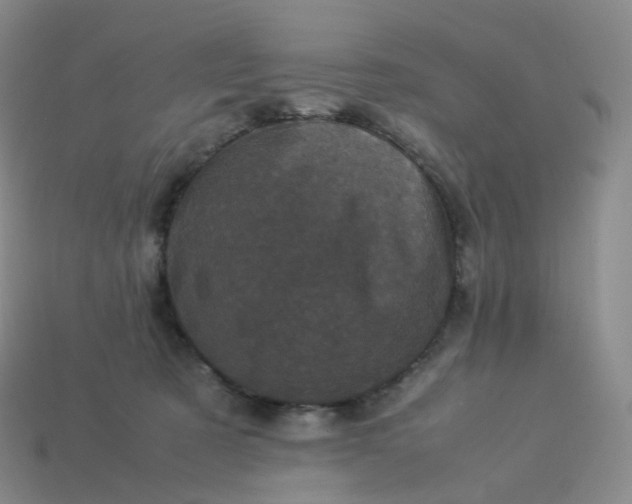 X0000114090321200910191608