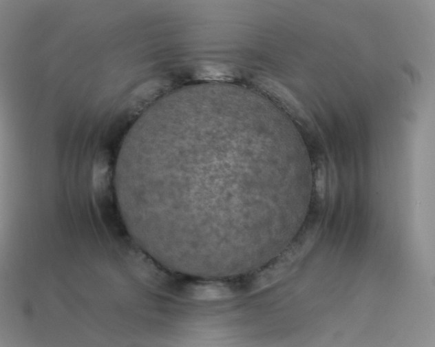 X0000114090322200910191608