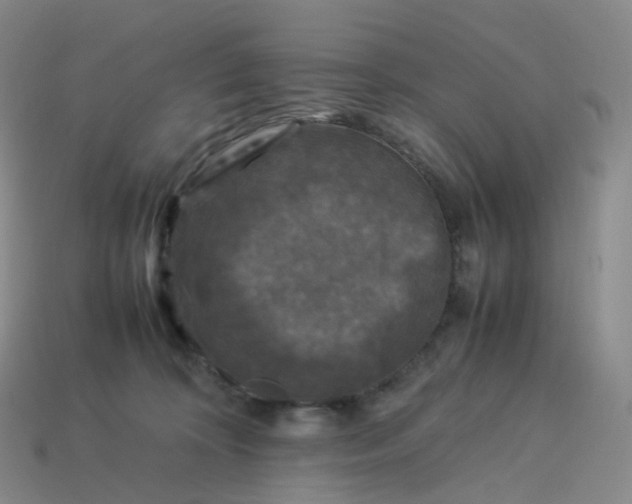 X0000114090324200910191608