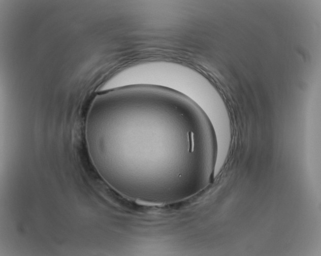 X0000114090325200910191608