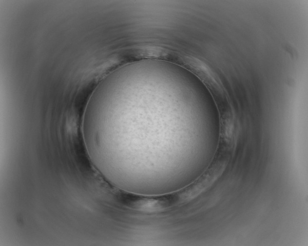 X0000114090326200910191608