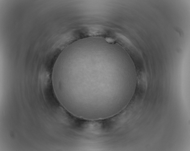 X0000114090327200910191608