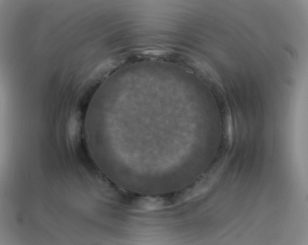 X0000114090328200910191608
