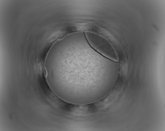 X0000114090329200910191608