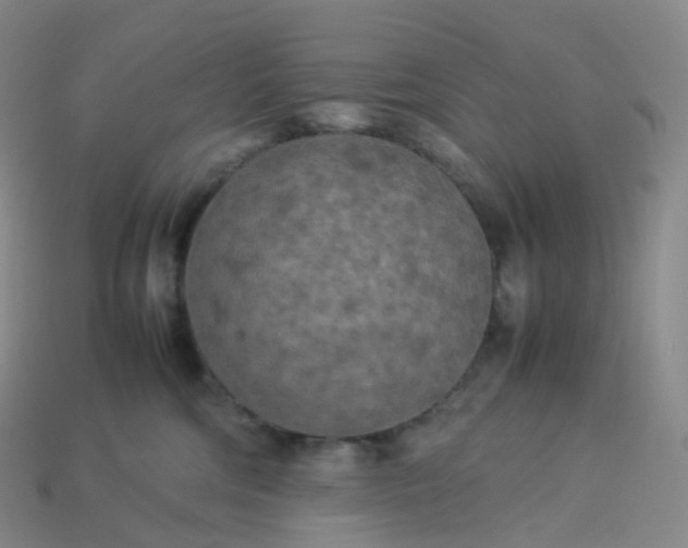 X0000114090330200910191608