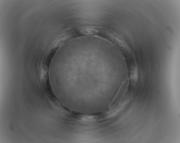 X0000114090332200910191608