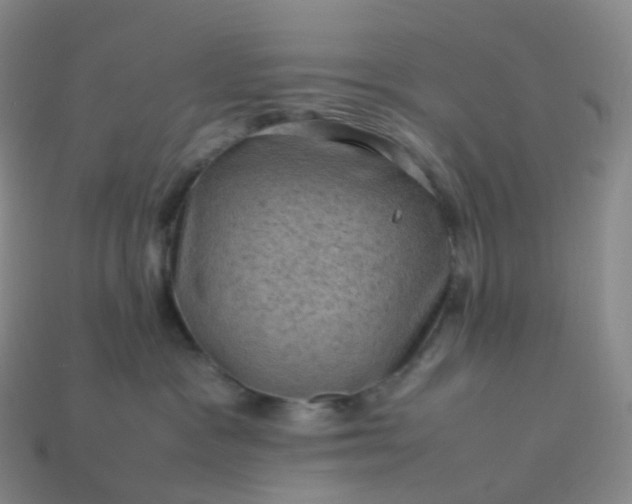 X0000114090333200910191608