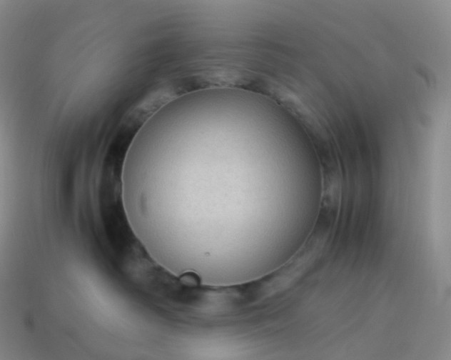 X0000114090334200910191608
