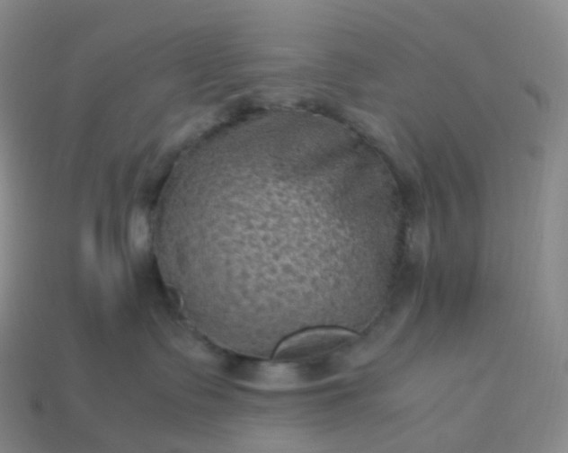 X0000114090335200910191608