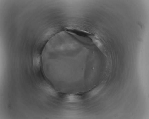 X0000114090336200910191608