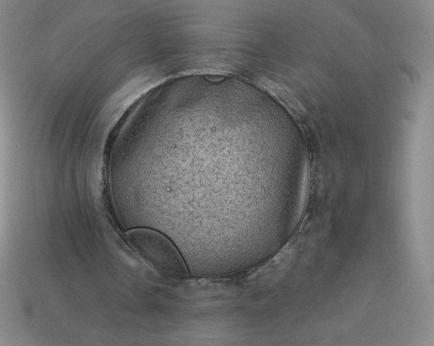 X0000114090338200910191608