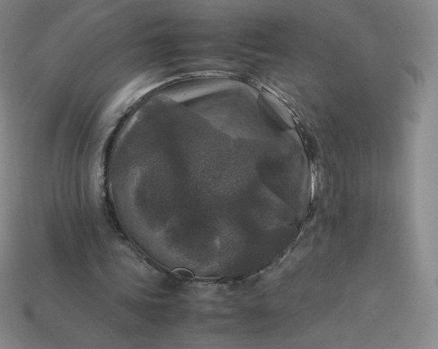 X0000114090339200910191608