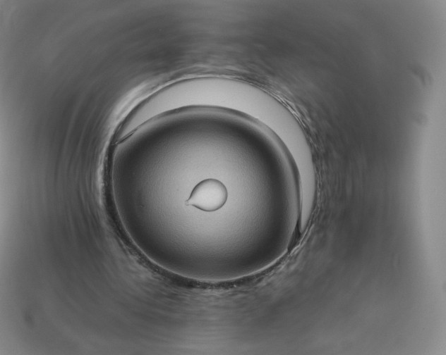 X0000114090340200910191608