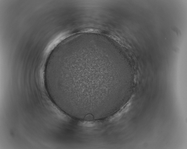 X0000114090341200910191608