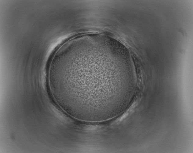 X0000114090342200910191608