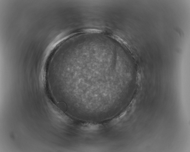 X0000114090343200910191608