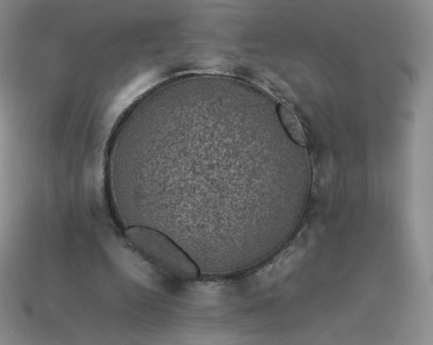 X0000114090344200910191608