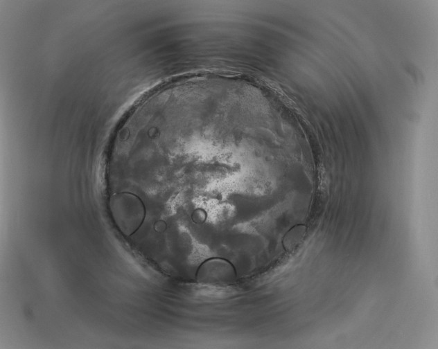 X0000114090347200910191608