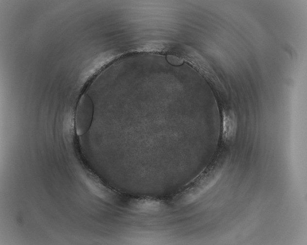 X0000114090348200910191608