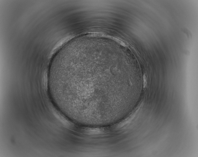 X0000114090349200910191608