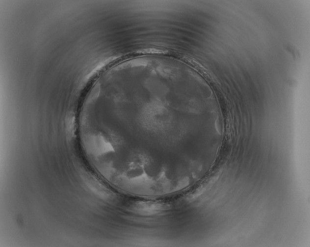 X0000114090351200910191608