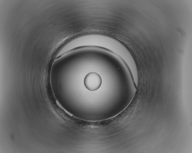 X0000114090352200910191608
