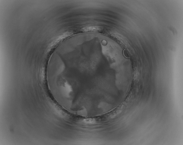 X0000114090353200910191608