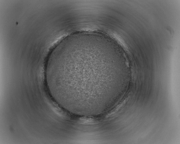 X0000114090354200910191608