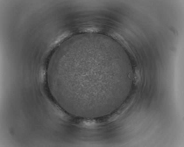 X0000114090355200910191608