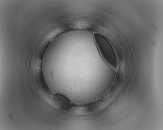 X0000114090356200910191608