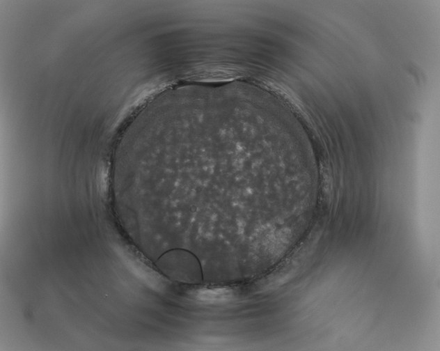 X0000114090357200910191608