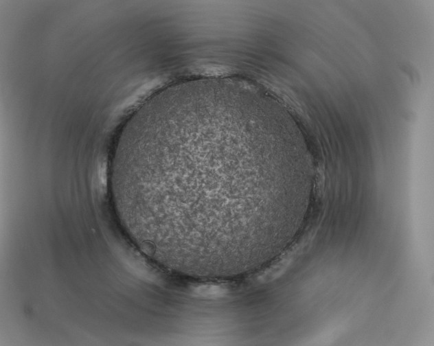 X0000114090358200910191608